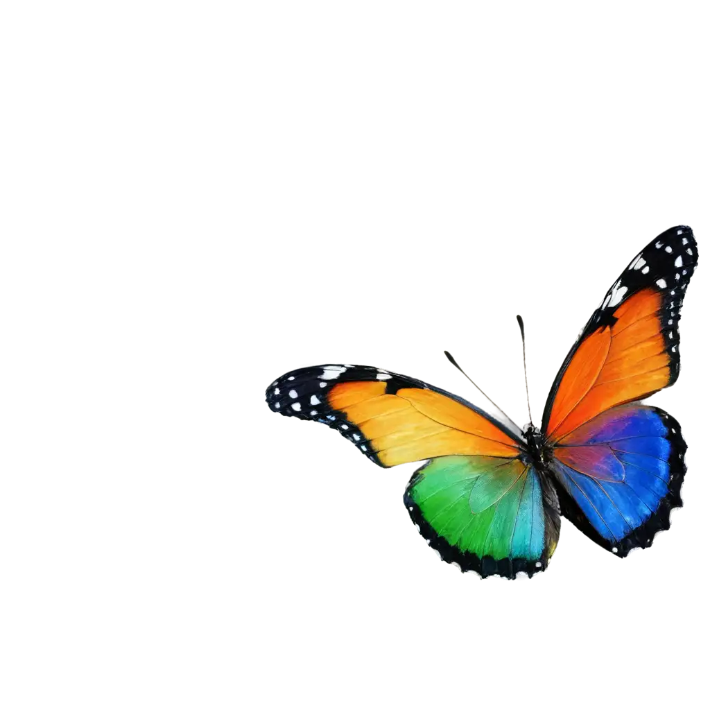 Vibrant-Rainbow-Butterfly-PNG-Transform-Your-Designs-with-Stunning-Digital-Art