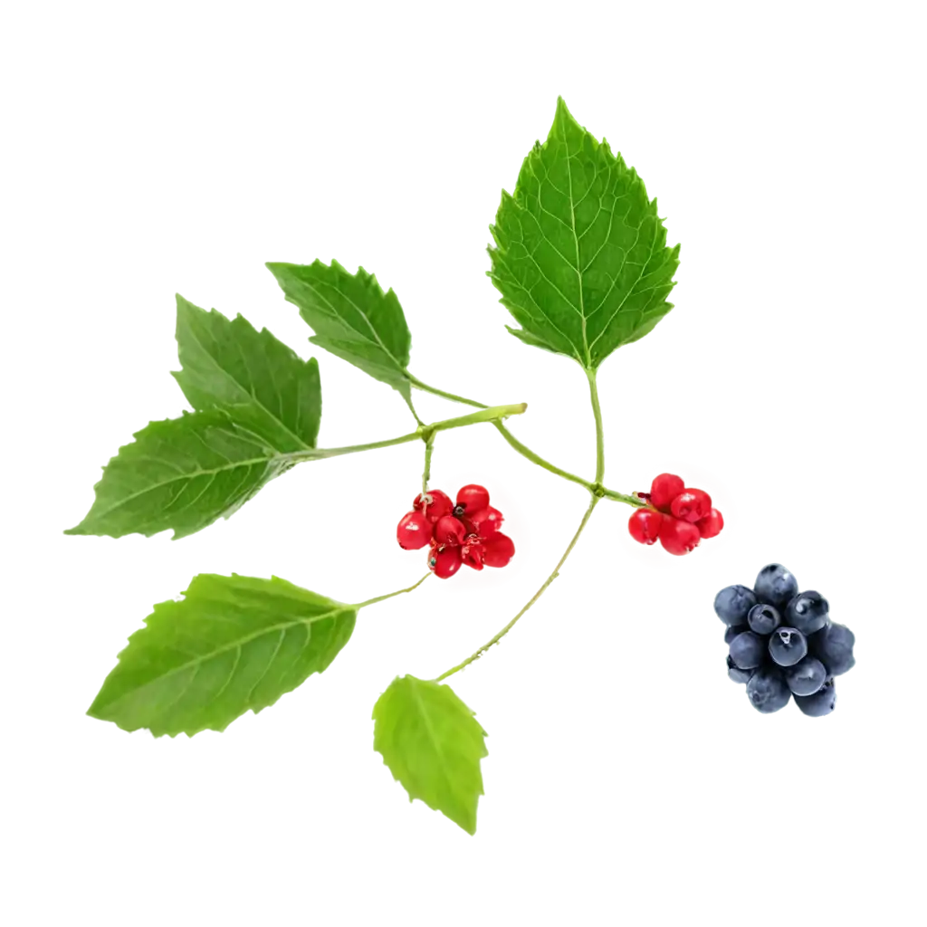 Vibrant-Berries-and-Fruits-PNG-Freshness-Captured-in-HighQuality-Image-Format