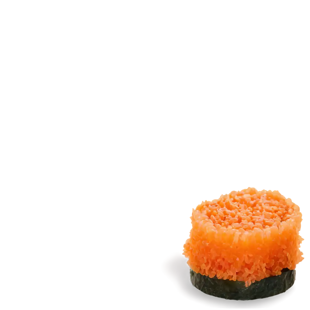 a piece of sushi