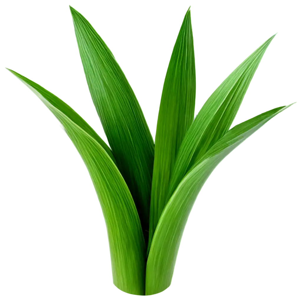 Vibrant-PNG-Image-of-Young-and-Mature-Green-Sansevieria-Leaves-Captivating-Natural-Beauty