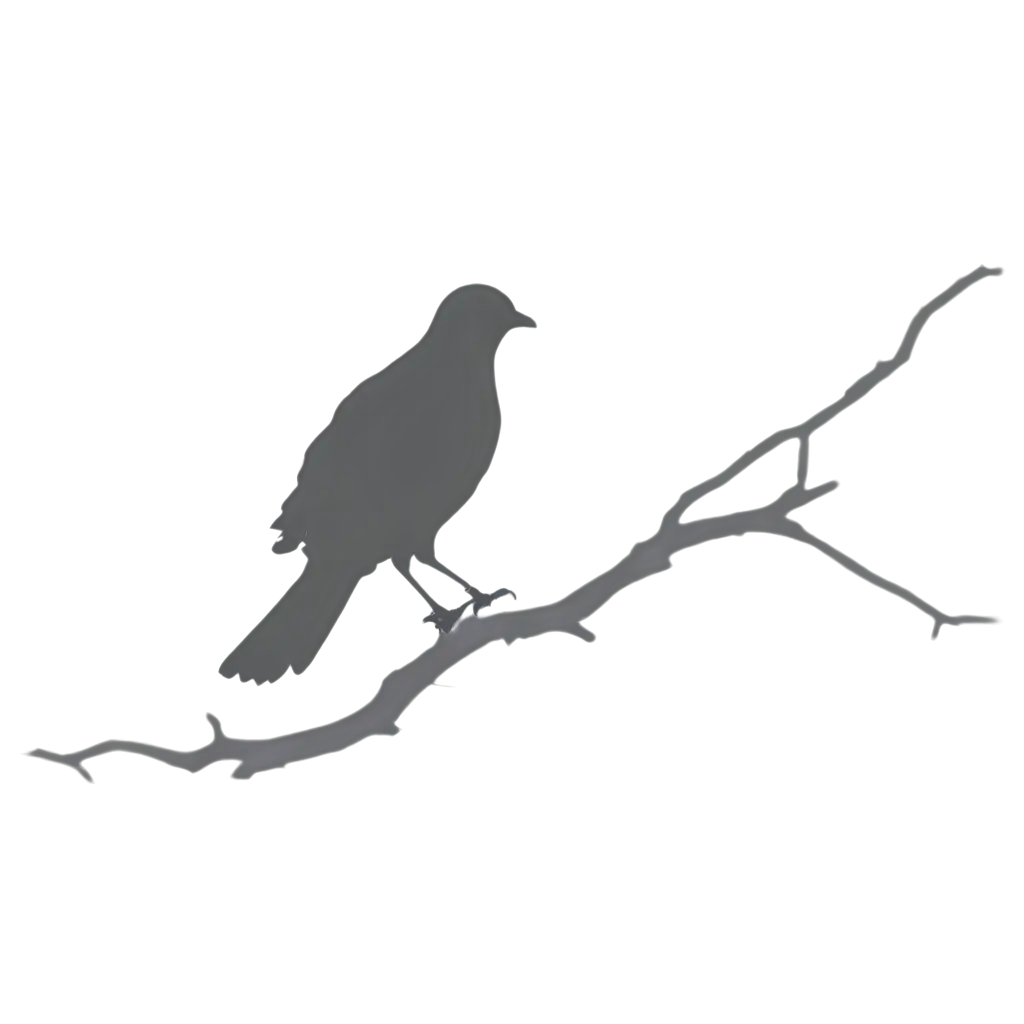 HighQuality-PNG-Silhouette-of-a-Bird-Perfect-for-Digital-Designs