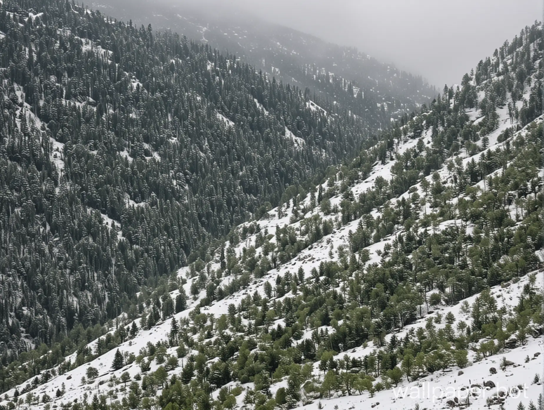 Hill station with lot of greenery and snow