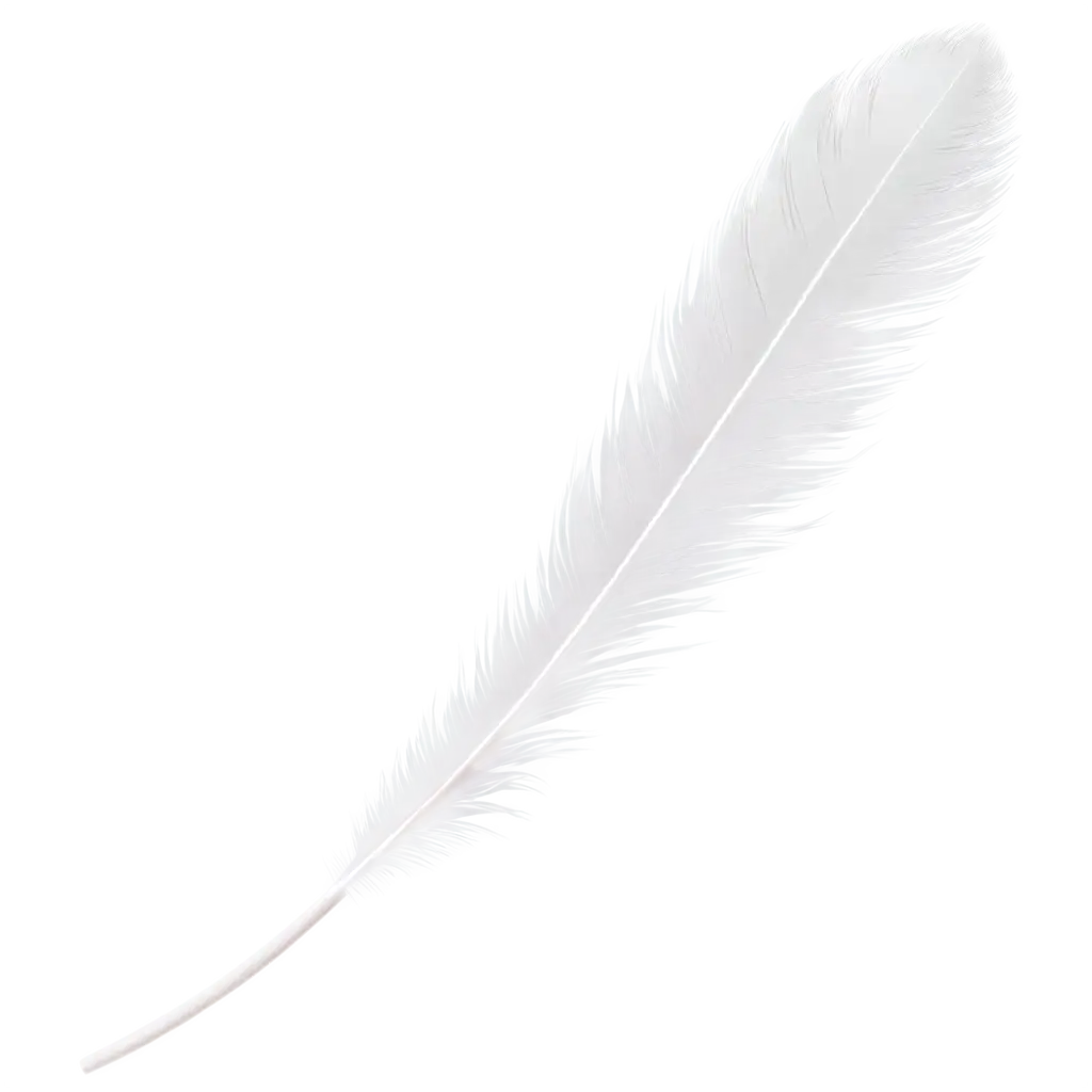 white bird feather realistic