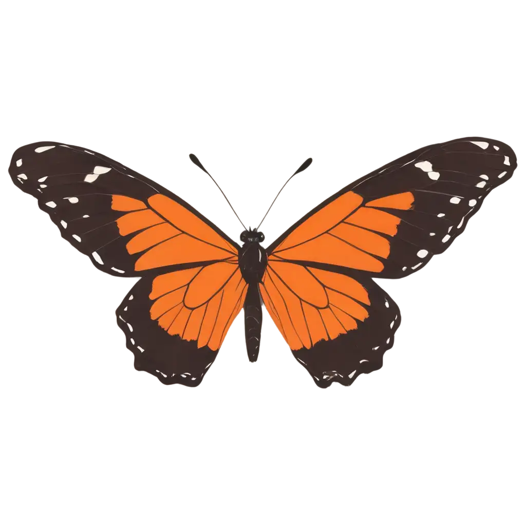 Vibrant-Butterfly-PNG-Image-Captivating-Beauty-in-High-Quality