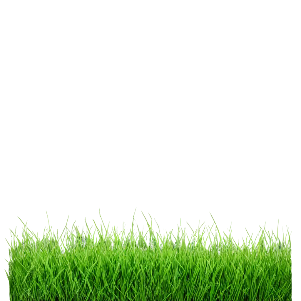 Vibrant-Grass-PNG-Image-Enhance-Your-Designs-with-HighQuality-Greenery