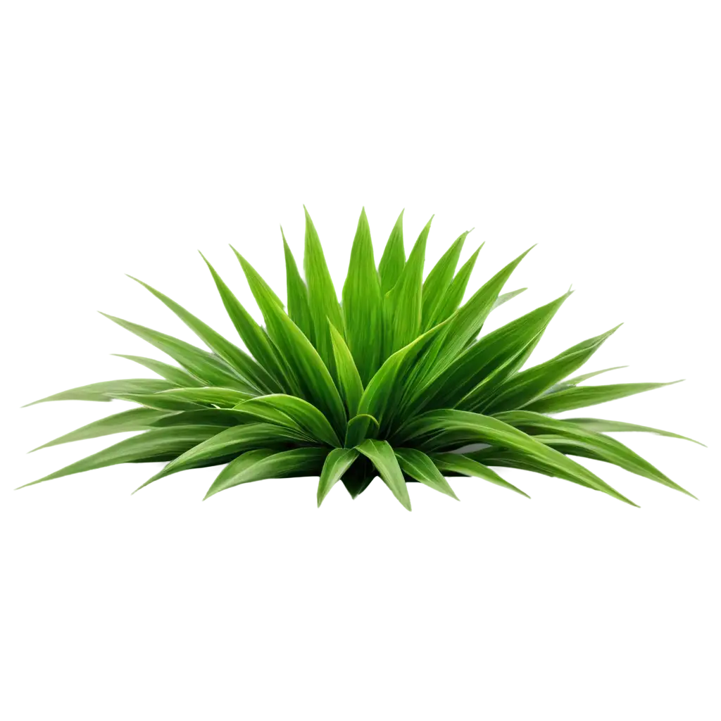 Exquisite-PNG-Illustration-of-a-Verdant-Plant-Enhance-Your-Online-Presence-with-HighQuality-Botanical-Art