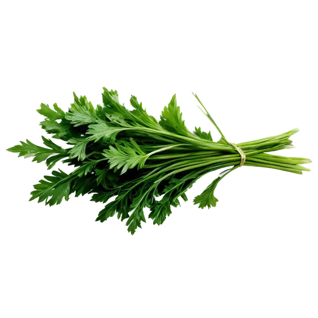 parsley and chive
sting