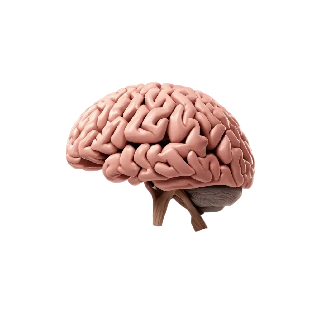 Dynamic-Brain-PNG-Image-Explore-Creativity-and-Clarity