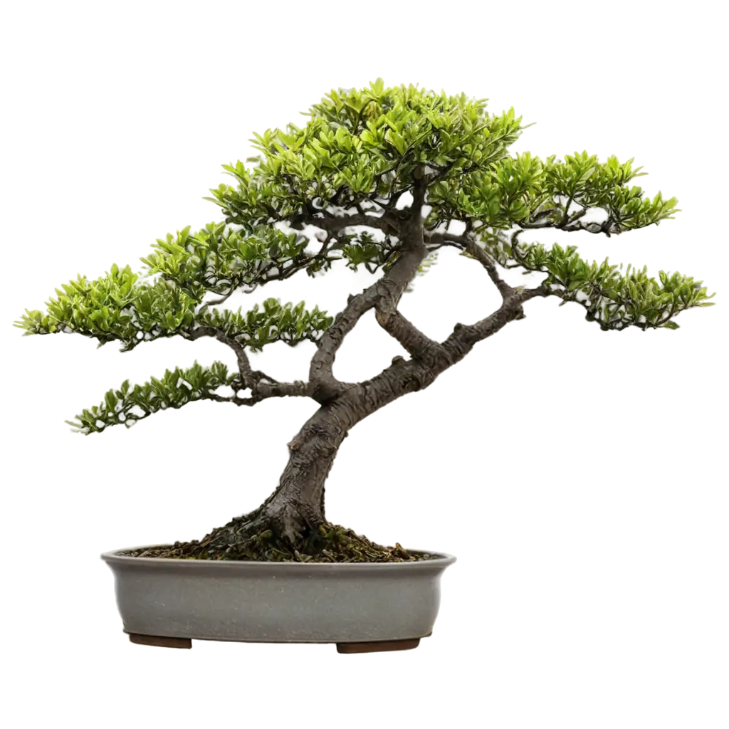 Exquisite-Bonsai-PNG-Capturing-the-Timeless-Beauty-in-HighQuality-Format