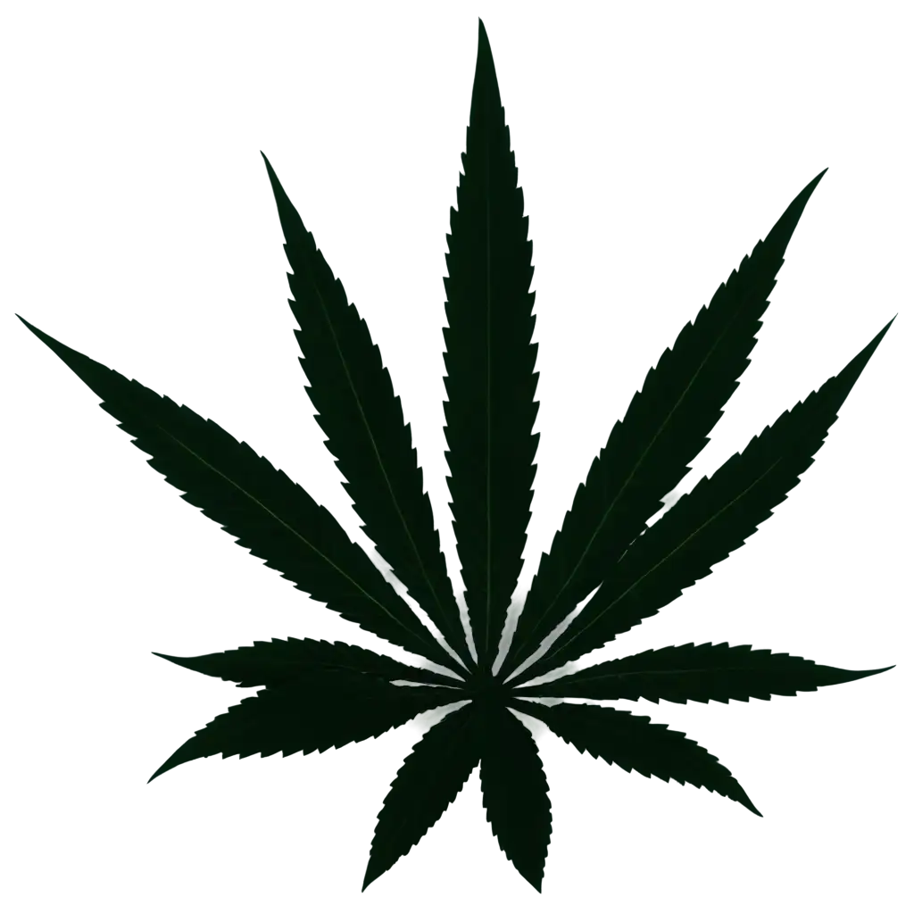 HighQuality-Marijuana-PNG-Image-Enhancing-Visual-Representation-for-Cannabisrelated-Content