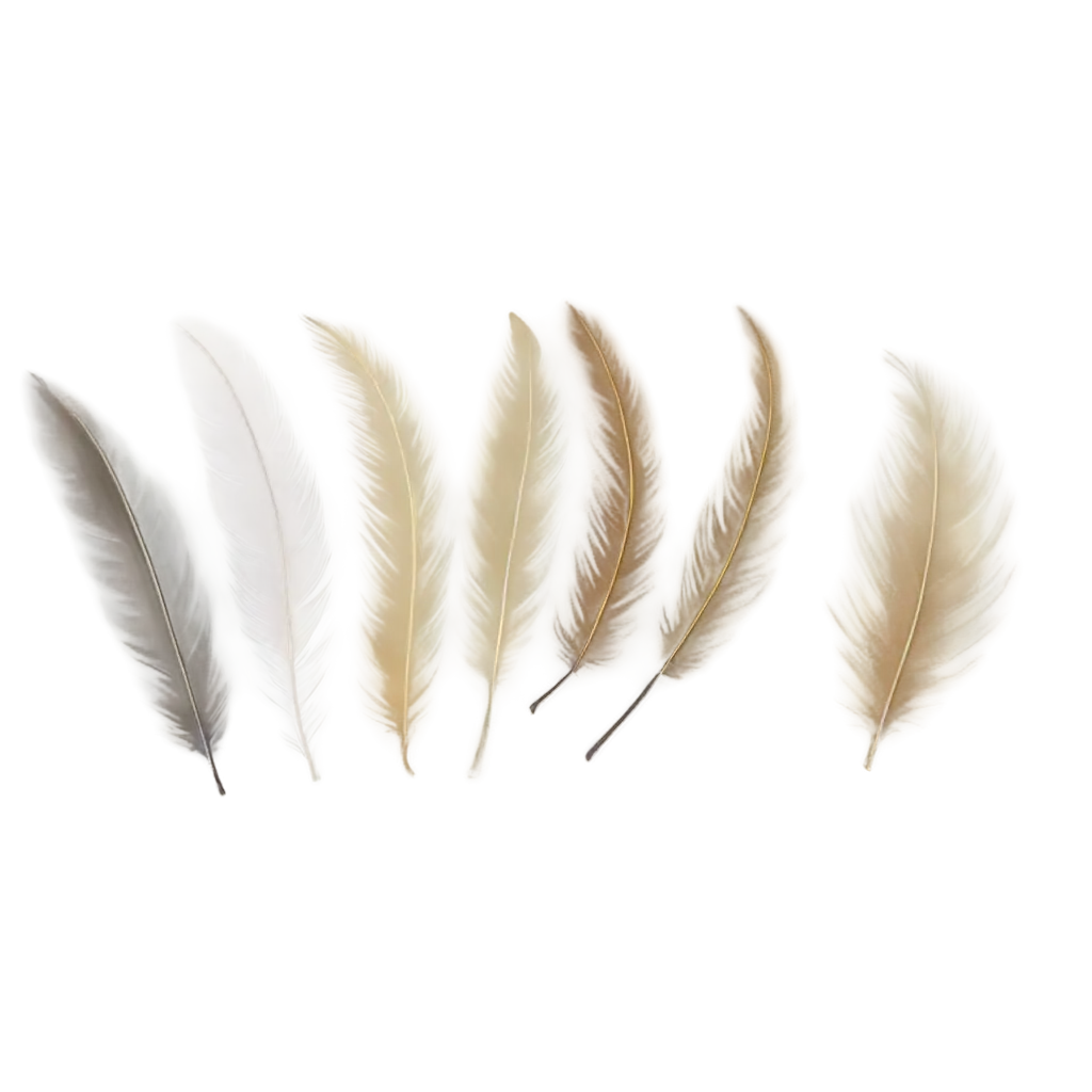 bird feathers