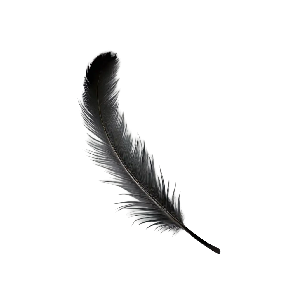Exquisite-Feather-PNG-Crafting-HighQuality-Digital-Art-with-Featherthemed-PNG-Image