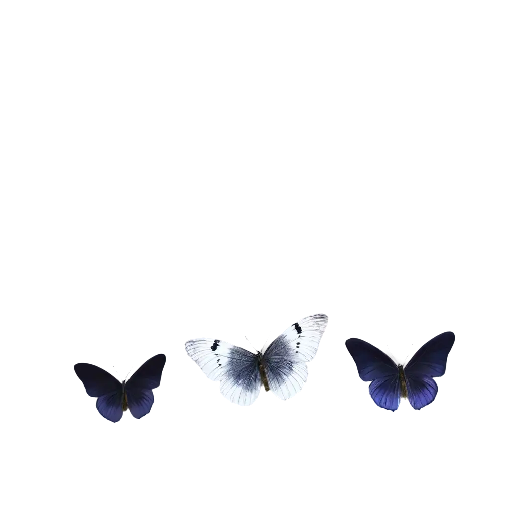 Stunning-Butterfly-PNG-Image-for-Enhanced-Visuals