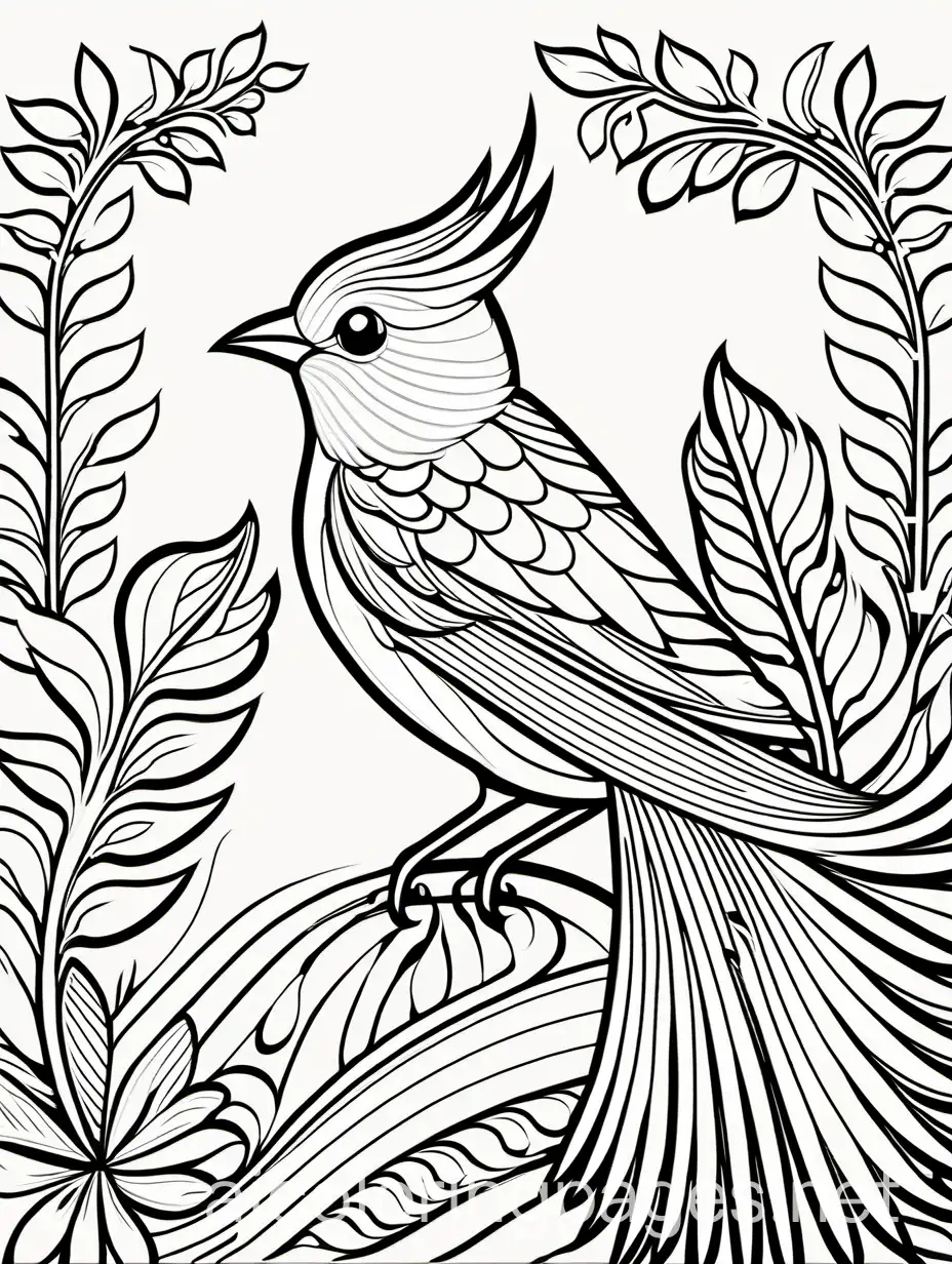 beautiful fancy bird, Coloring Page, black and white, line art, white background, Simplicity, Ample White Space. The background of the coloring page is plain white to make it easy for young children to color within the lines. The outlines of all the subjects are easy to distinguish, making it simple for kids to color without too much difficulty