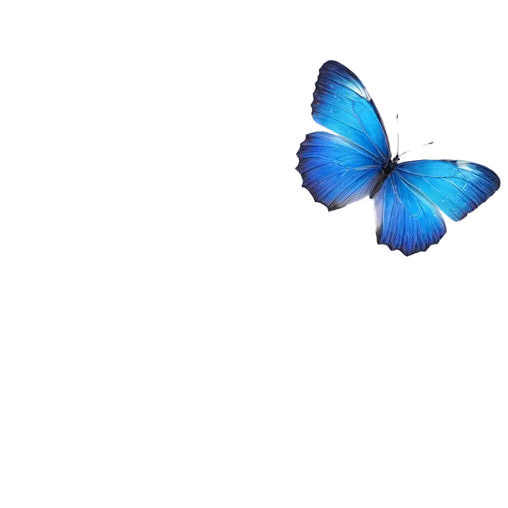 A blue butterfly