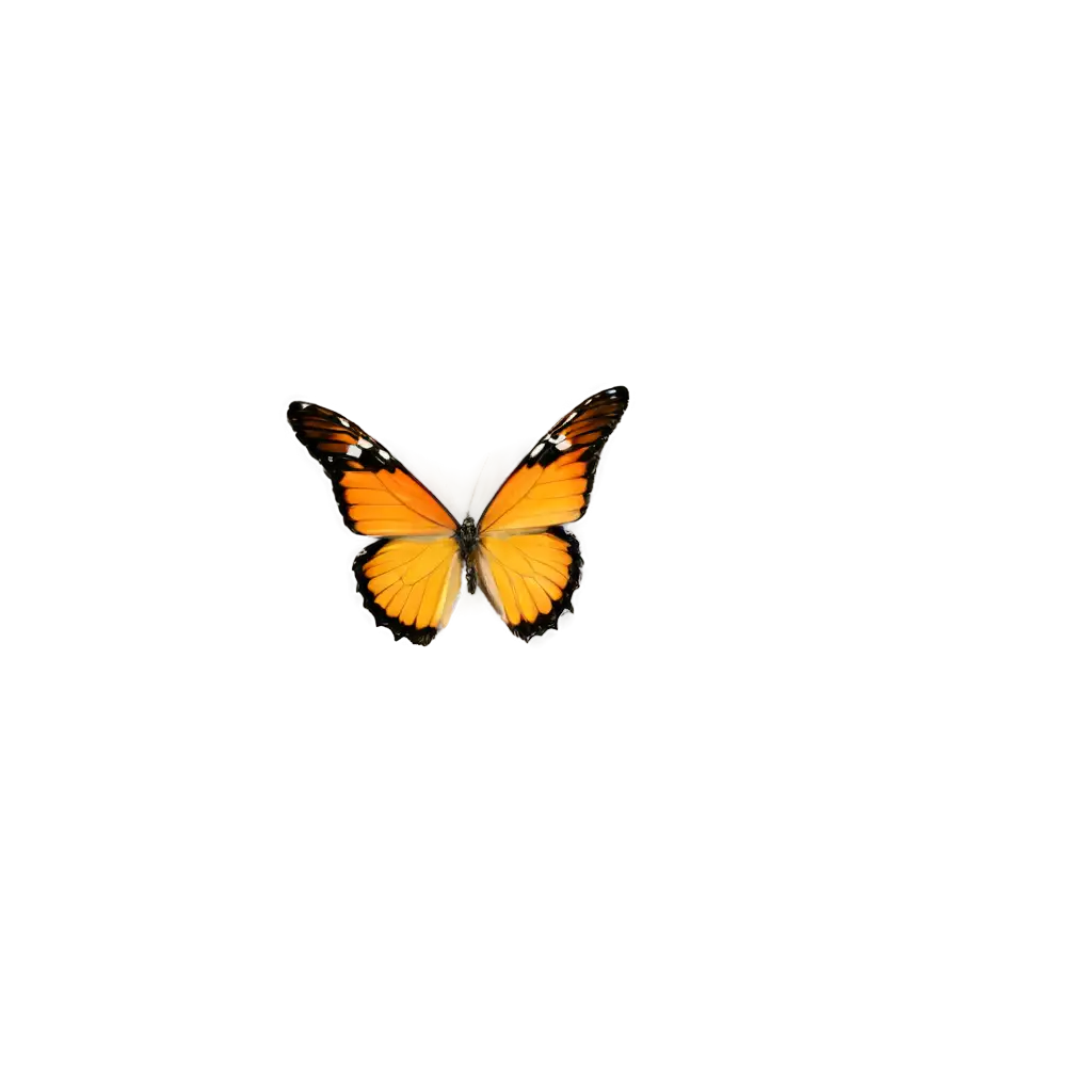 Vivid-Butterfly-Flying-in-the-Sky-Create-Stunning-700Second-PNG-Image