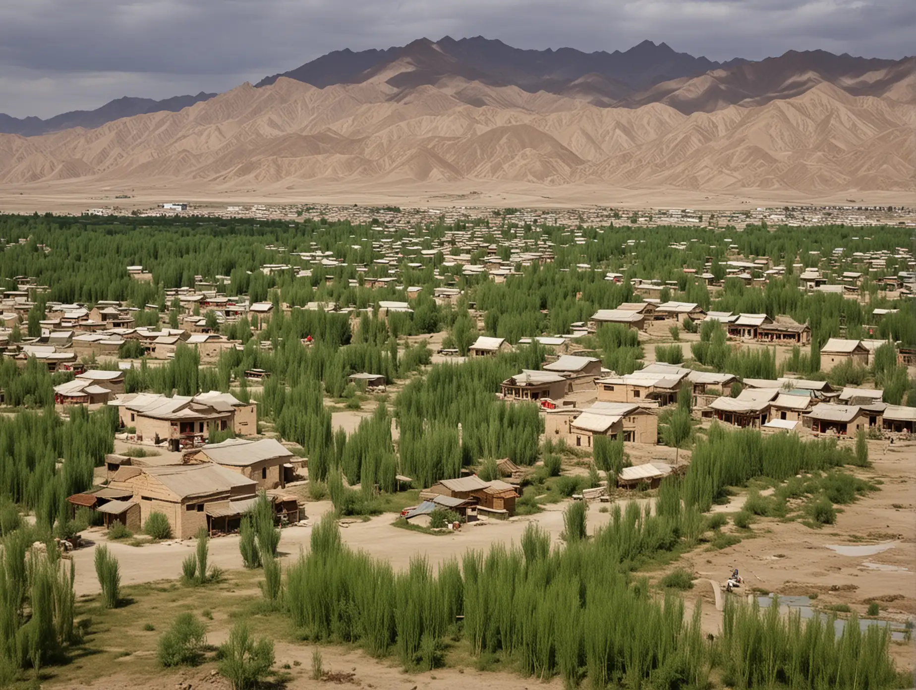 新疆喀什，村庄风貌，绿洲