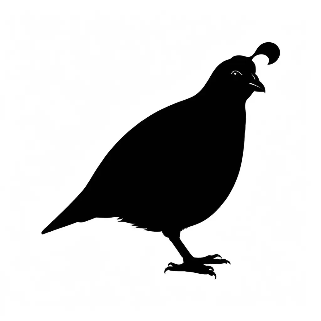 solid black cartoon of a california quail standing  on a solid white background, clean smooth edges