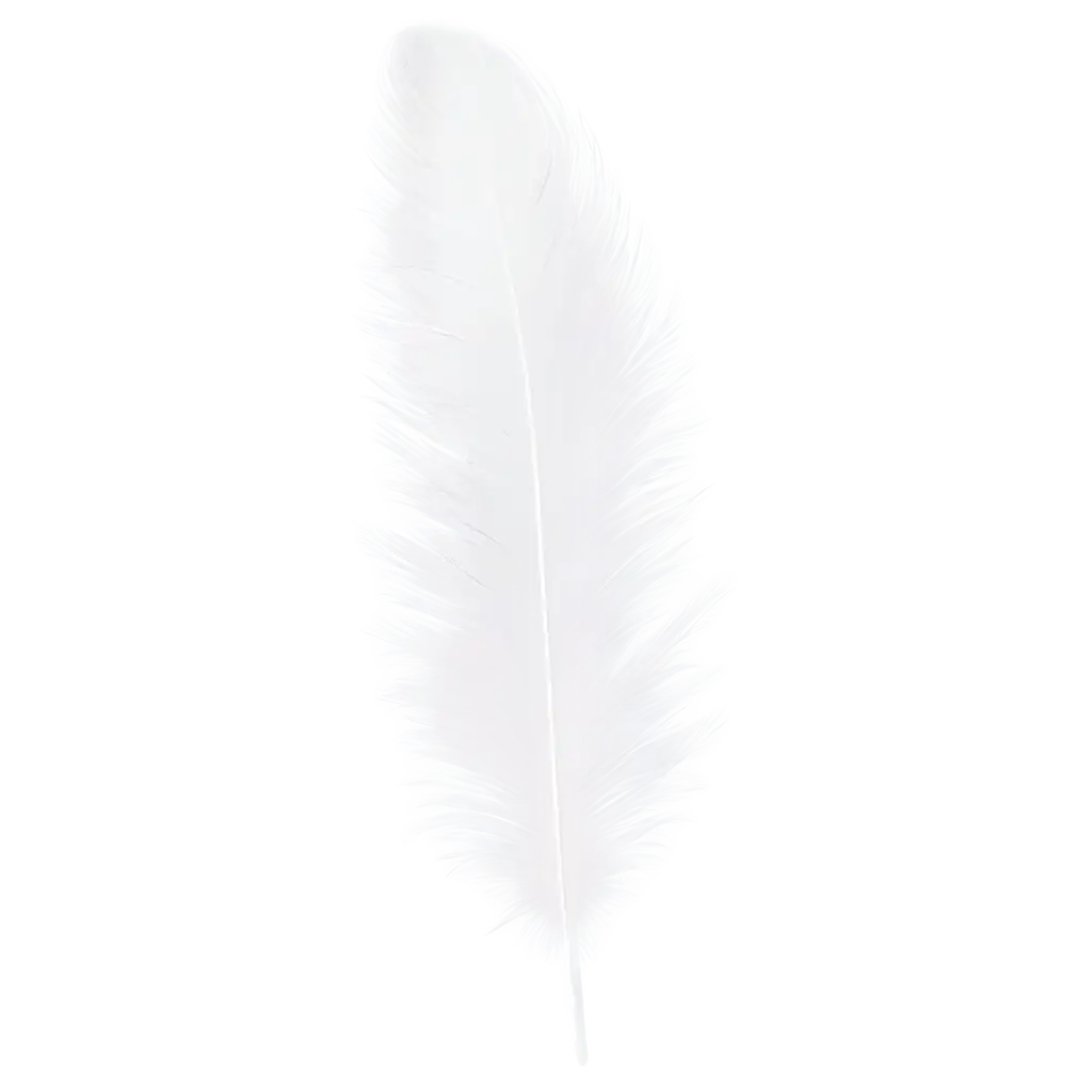 fluffy white feather