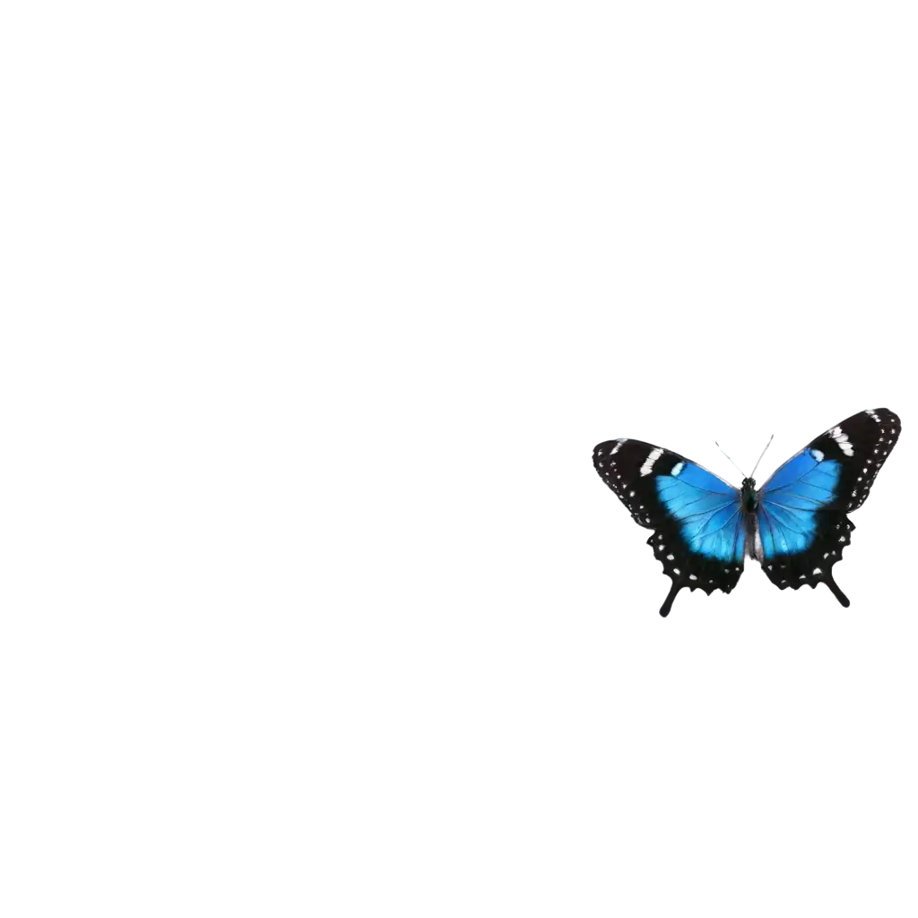Exquisite-PNG-Image-of-a-Beautiful-Butterfly-Captivating-Artistry-for-Online-Platforms