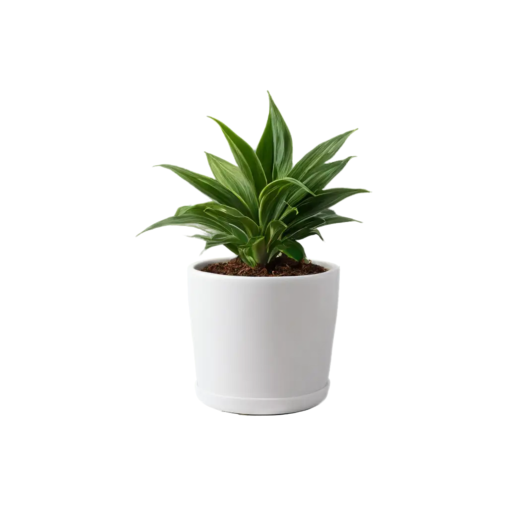 Exquisite-Flower-Pot-PNG-Enhance-Your-Dcor-with-HighQuality-Floral-Art