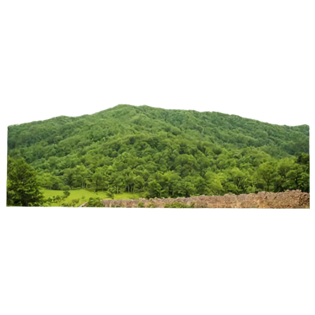 Partition wall in forests and low mountain ranges