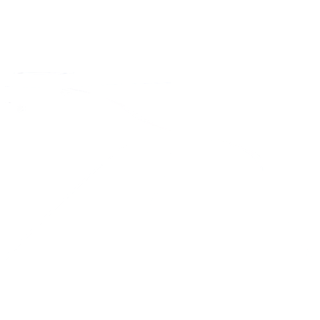 dotted line road