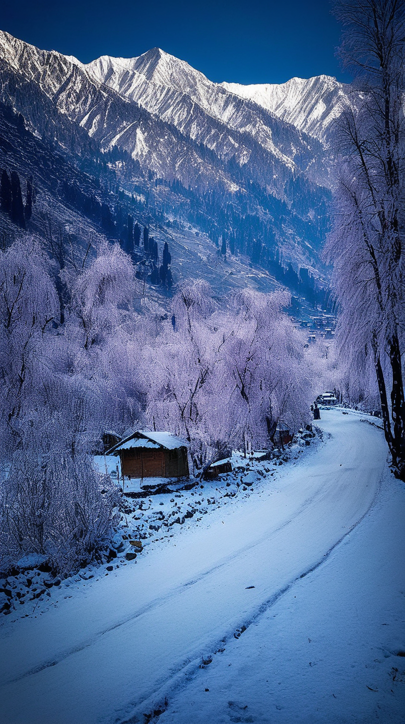 Kashmir winter